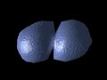 Control of Cell Division
