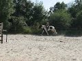 d-part-au-galop-et-quelques-foules-.html