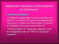 videos de Entrenamiento aerobico Bases Biologicas 6