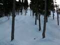 videos de Whistler Feb 16 2006 142.avi