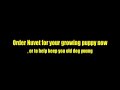 Vitamins or suppliments for dogs
