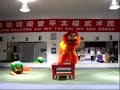 Lion Dance Practice II Lion Dance Practice II