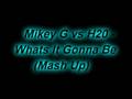 Mikey G vs H20 - Whats It Gonna Be Mash Up