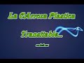 LA CARROZA PLASTICA - TRANSITABLE