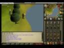 good spot to woodcut---------------RUNESCAPE