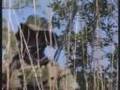 Marine Special Operations Command (MarSOC)