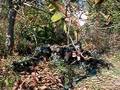 videos de Airsoft E.S.T  Sniper Team