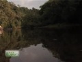 documental aldea yaboty