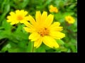 refresh and gladden my spirit 