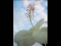 Refresh and gladden my spirit.