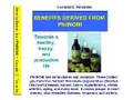 videos de PhilNONI Exhibit