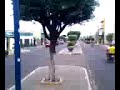 ronaldo plantando mais uma