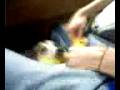 videos de Aww... oh dear god.