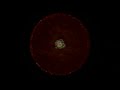 Electrons, Protons And Neutrons | Standard Model Of Particle Physics