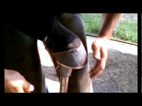 horse racing horse racing