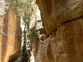 Radio2 in Jordanie samen met Greta van Ghannah Lodge