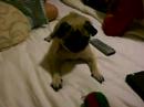 lucy linda