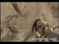 videos de bobo balo ice age 3