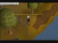 videos de Runescape Random Music Video