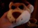 Nuevo peluche de leona
