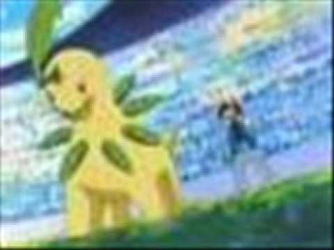 bayleef