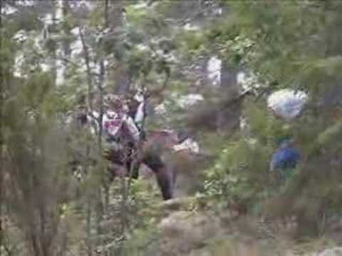 Kalmar Adventure Race