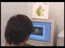 Empresa de tecnologia em duplicação e personalização de cd´s.