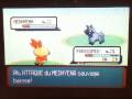 videos de Shiny Torchic - My longest hunt so far ENDED!!!