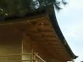 pavillon d\ pavillon d\