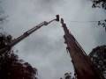 Aerial Work Platform cherry picker Ace Tower Hire 60 metre serious tree cutting tree removal
