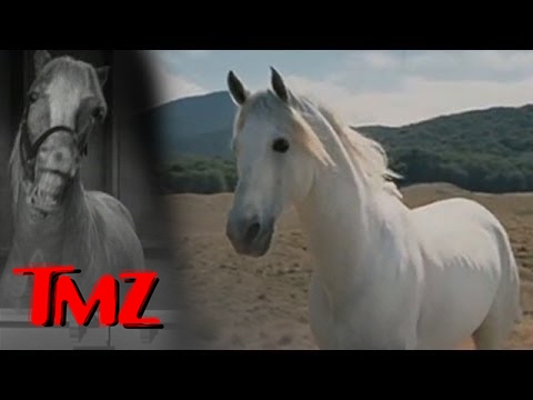 'Lord of the Rings' Horse Fighting Orcs In Heaven