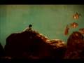 videos de Swimmin' With The Fishies