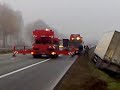Apvirto vilkikas su kop?stais I
