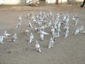 ...:::djkantik:::...