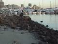 videos de Harbour Park-North Vancouver (Nov 19th, '08)