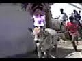 Tamil-Jallikattu
