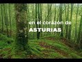 turismo rural en asturias  casas rurales de san román