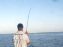 Everglades Fishing Everglades Fishing