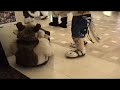 HuskyPull FC2007 by MightyTauren