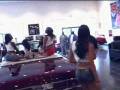 CHAMILLIONAIRE-S-FLY