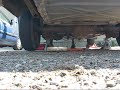 351w full exhaust 351w full exhaust