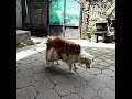 Video Bokep panas Video Bokep panas