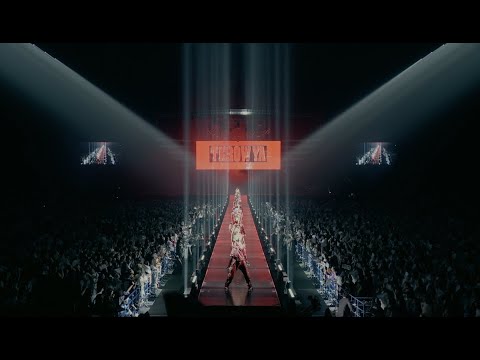 動画