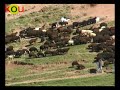 ilkbahar görüntüleri ilkbahar görüntüleri