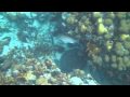 Exploring Belize - 3 Days and 2 Nights along the ...