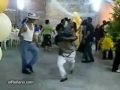 MOSHPIT LATINO