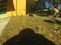 videos de throwaways