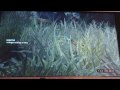 Turok Weapons Gameplay