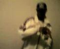 B.i samples solo trsack