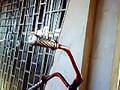 moto-Byker,bicicleta-Moto personalizada